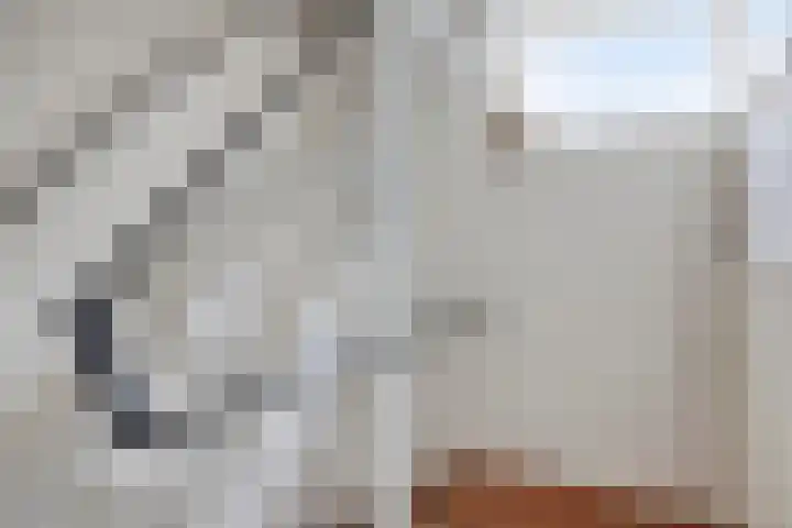 Anke Servaeshof 1 Tilburg thumbnail 30