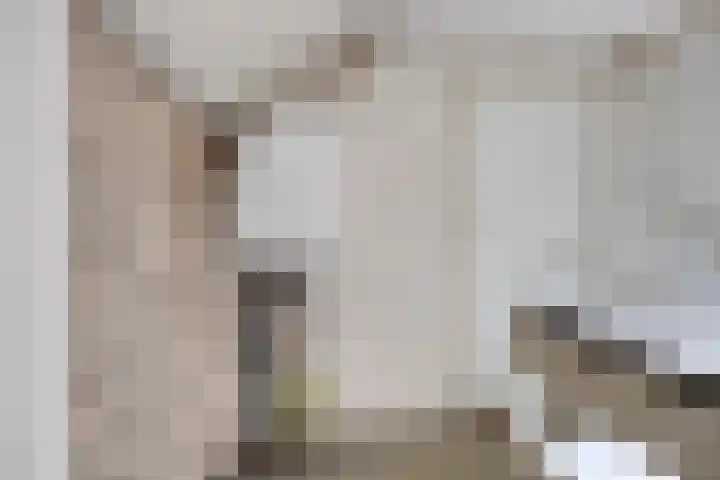 Anke Servaeshof 1 Tilburg thumbnail 44