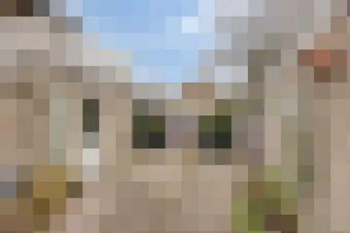 Anke Servaeshof 1 Tilburg thumbnail 53