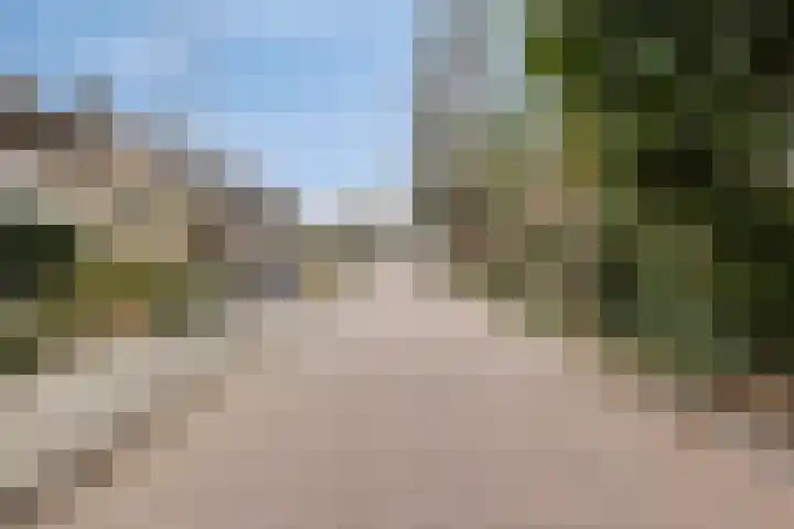 Anke Servaeshof 1 Tilburg thumbnail 63