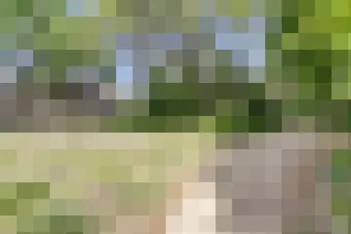 Anke Servaeshof 10 Tilburg thumbnail 33