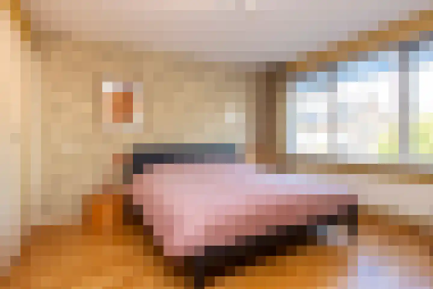 Anke Servaeshof 19 Tilburg thumbnail 22