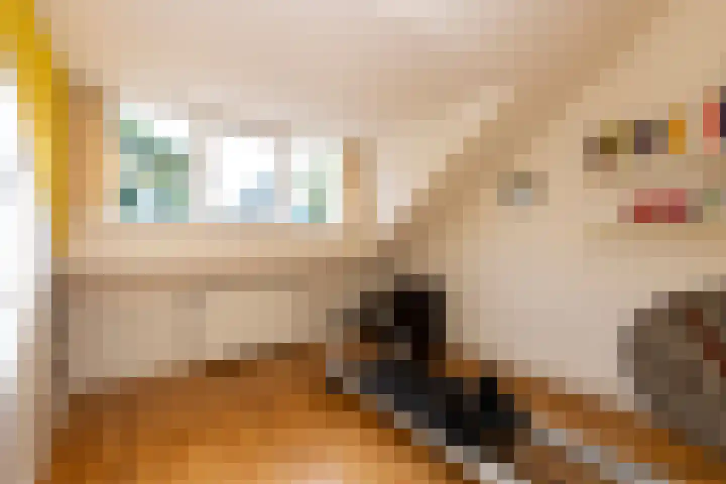 Anke Servaeshof 19 Tilburg thumbnail 31