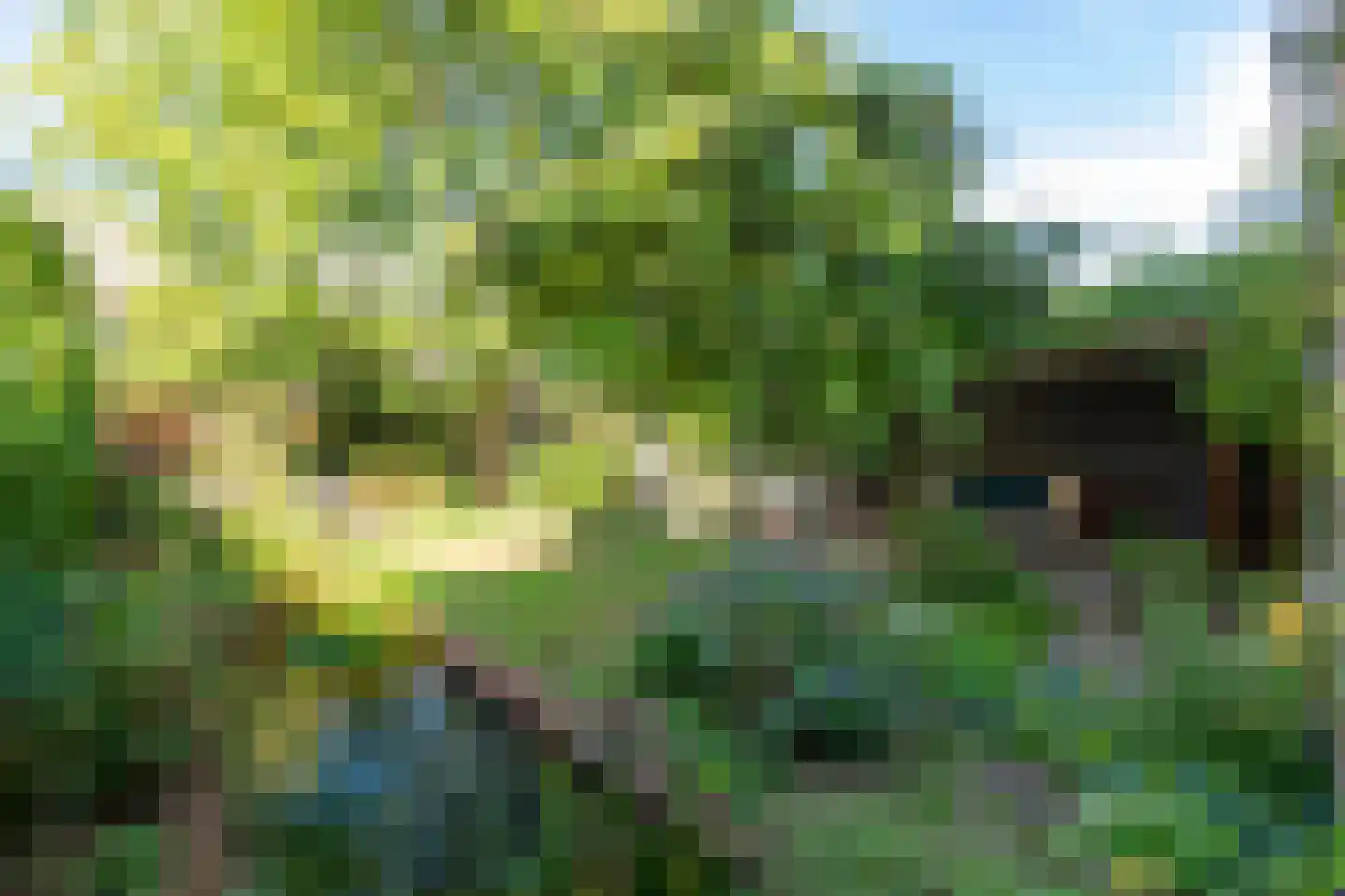 Anke Servaeshof 19 Tilburg thumbnail 33