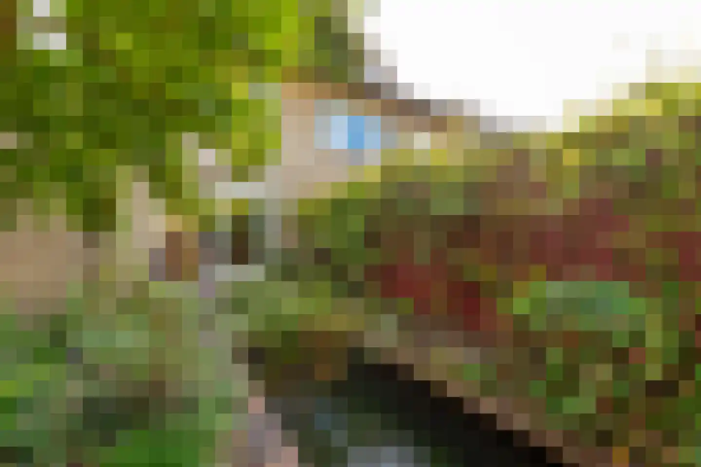 Anke Servaeshof 19 Tilburg thumbnail 34