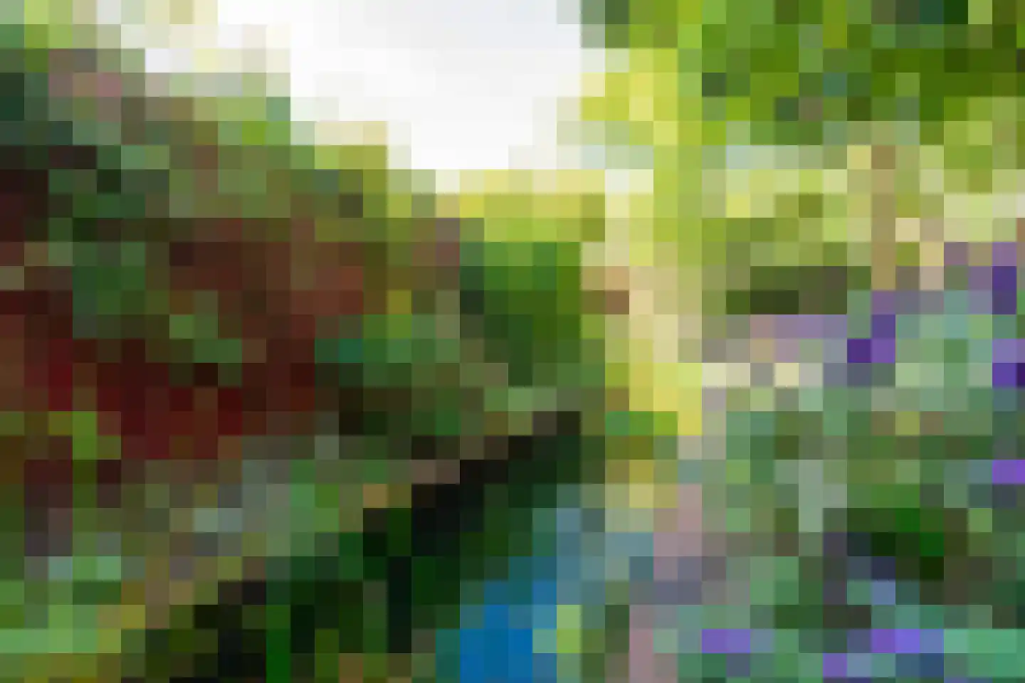 Anke Servaeshof 19 Tilburg thumbnail 36