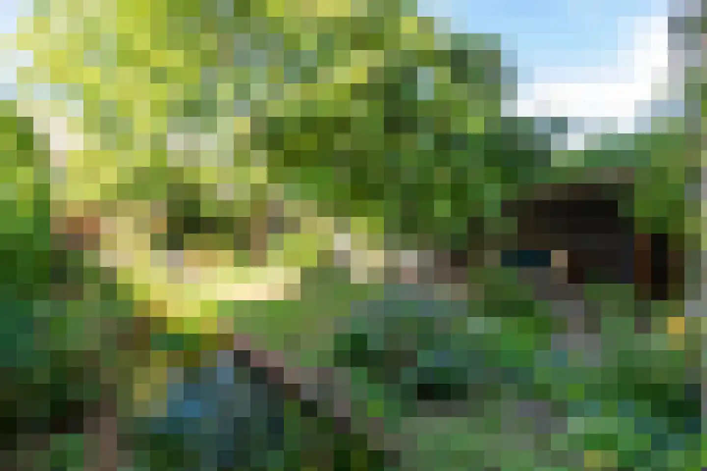 Anke Servaeshof 19 Tilburg thumbnail 7