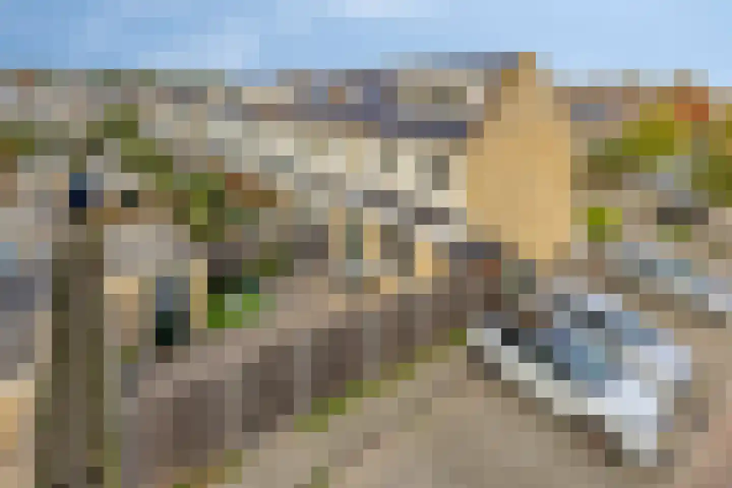 Anke Servaespad 2 Leiden thumbnail 22