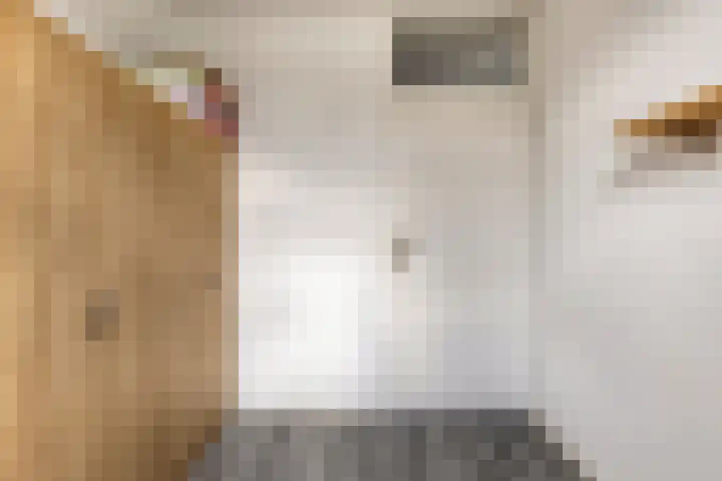 Anke Servaespad 2 Leiden thumbnail 32