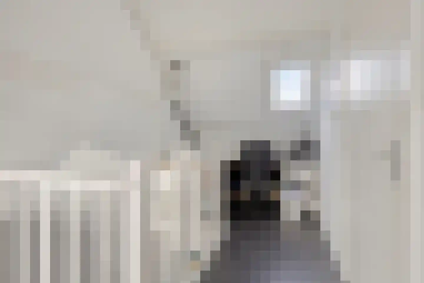 Anke Servaespad 2 Leiden thumbnail 33