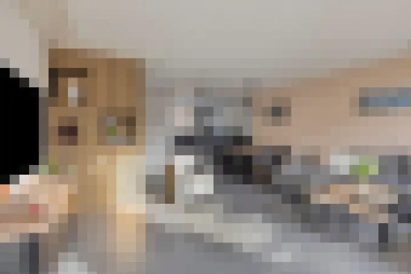 Anke Servaespad 2 Leiden thumbnail 7