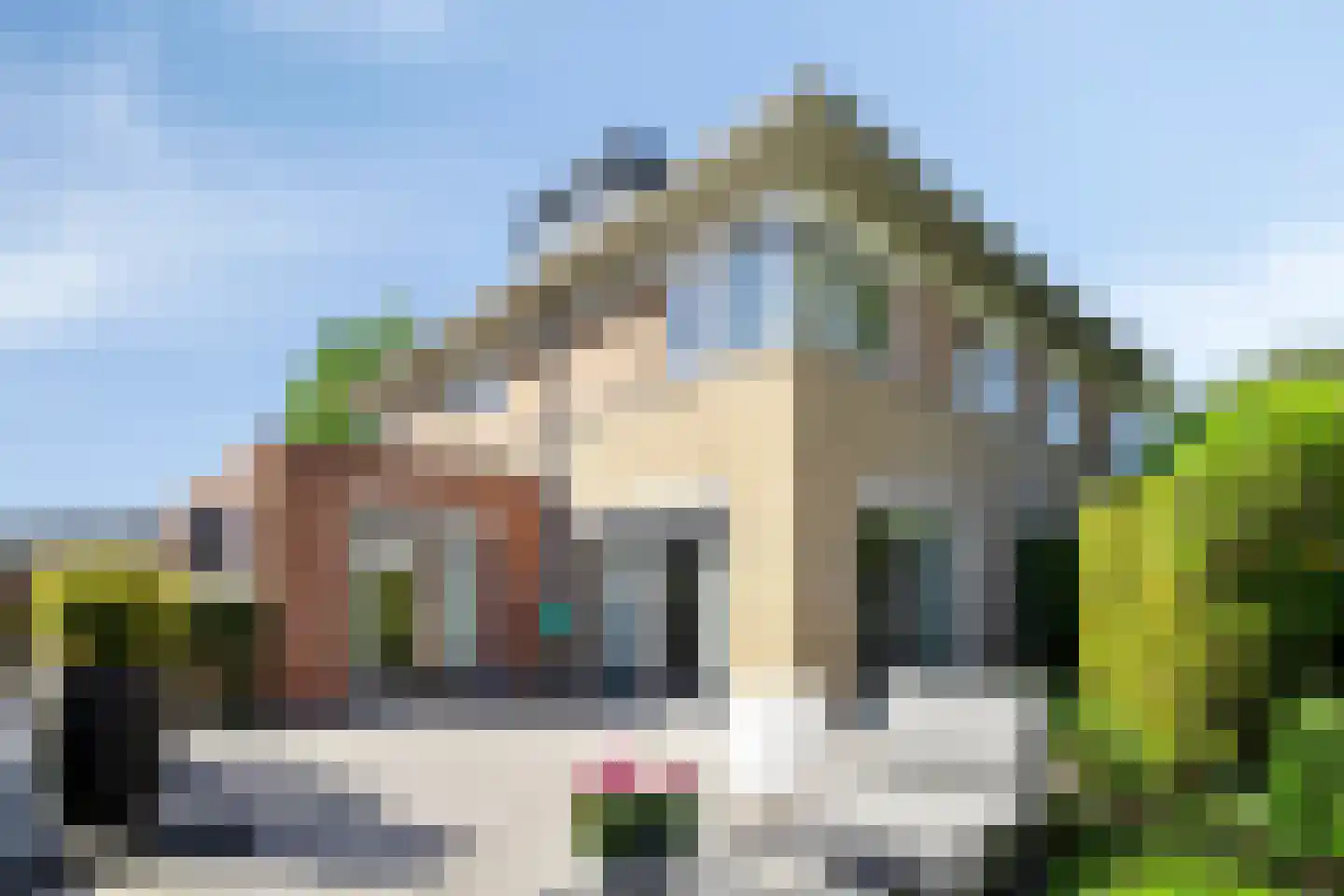 Anke Servaesstraat 36 Spijkenisse thumbnail 27