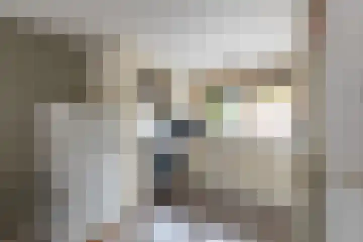 Anke van der Vliesstraat 31 Alkmaar thumbnail 10