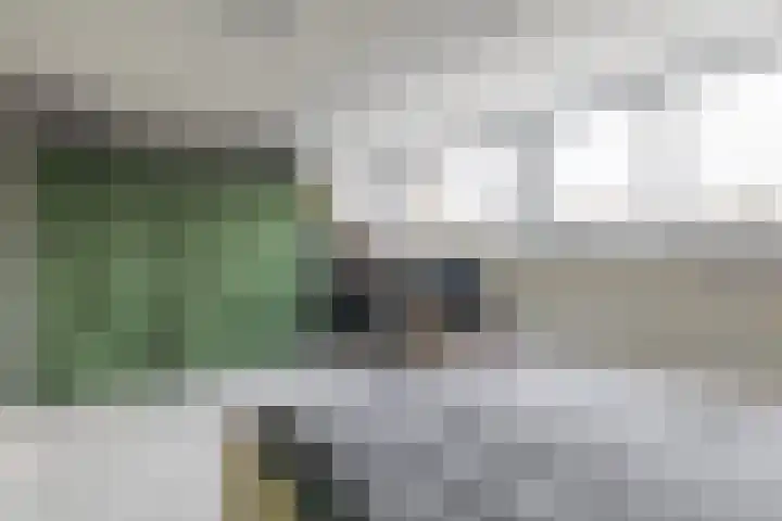 Anke van der Vliesstraat 31 Alkmaar thumbnail 16