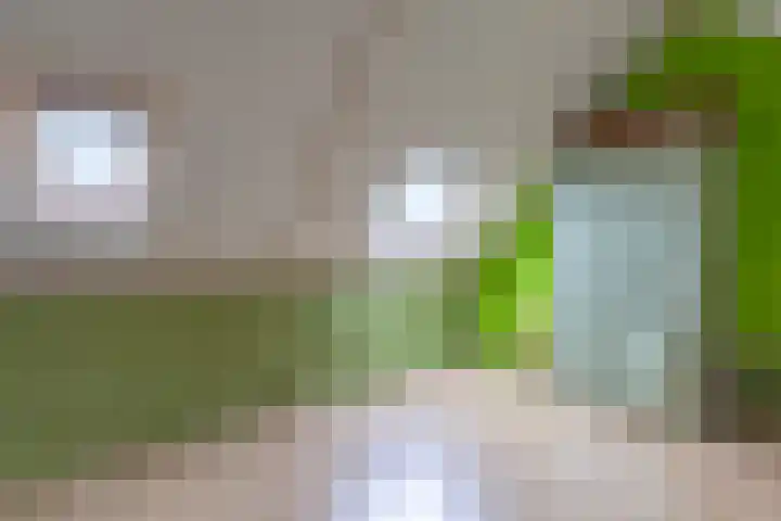 Anke van der Vliesstraat 31 Alkmaar thumbnail 27