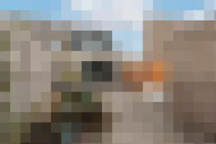 Anke van der Vliesstraat 31 Alkmaar thumbnail 34