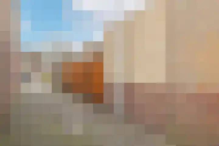 Anke van der Vliesstraat 31 Alkmaar thumbnail 36