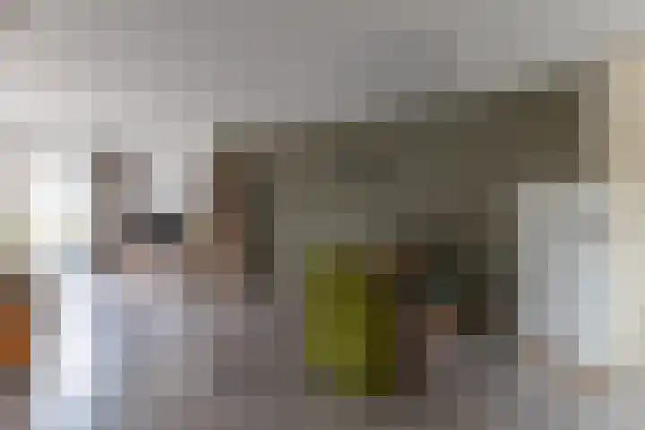 Anke van der Vliesstraat 31 Alkmaar thumbnail 9