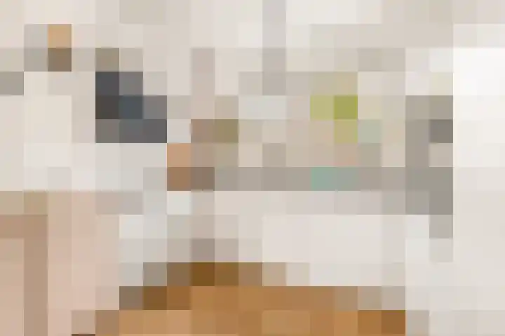 Anke van der Vliesstraat 36 Alkmaar thumbnail 13