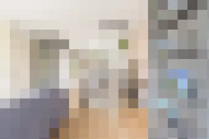 Anke van der Vliesstraat 36 Alkmaar thumbnail 7