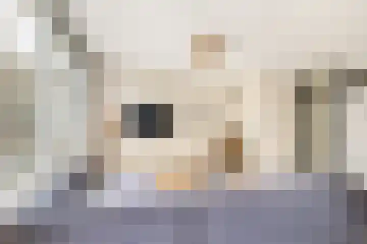 Anke van der Vliesstraat 36 Alkmaar thumbnail 8