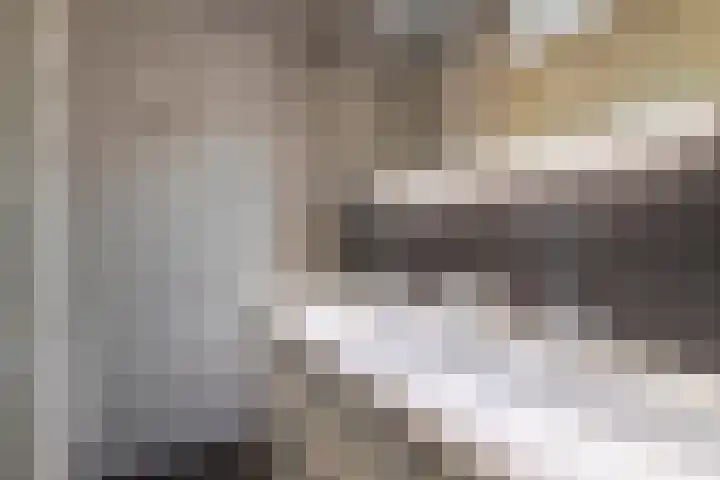 Anker 1 Veenendaal thumbnail 25