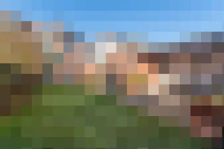 Anker 1 Veenendaal thumbnail 44