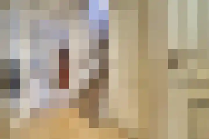 Anker 1 Veenendaal thumbnail 5