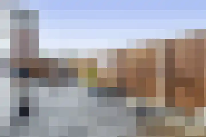 Anker 21 Hellevoetsluis thumbnail 36