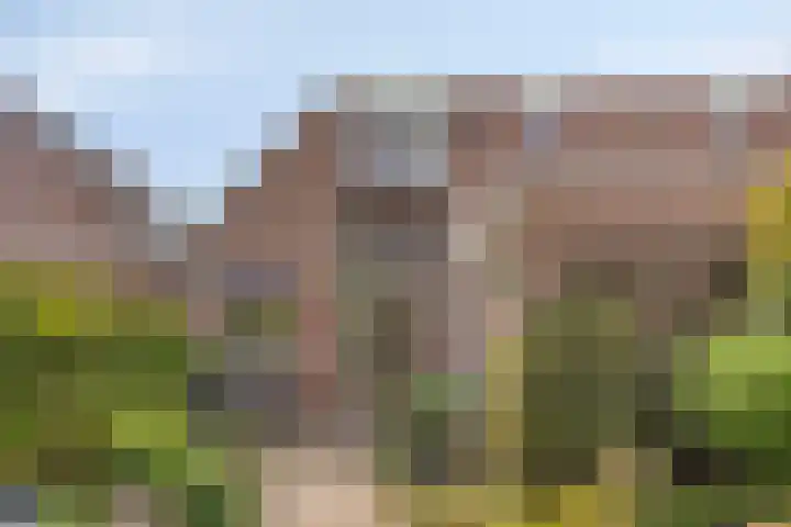 Anker 23 Oss thumbnail 14