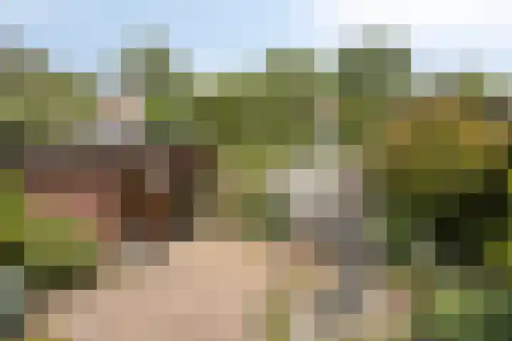 Anker 23 Oss thumbnail 15