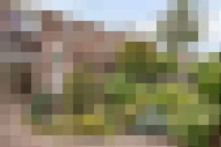 Anker 23 Oss thumbnail 16