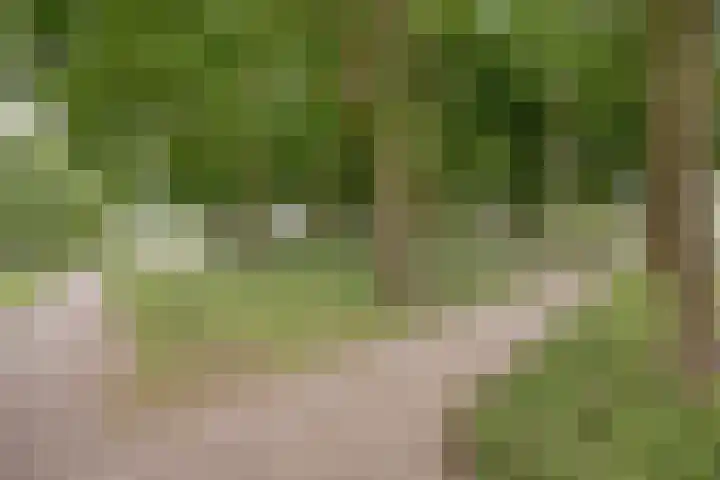 Anker 23 Oss thumbnail 20