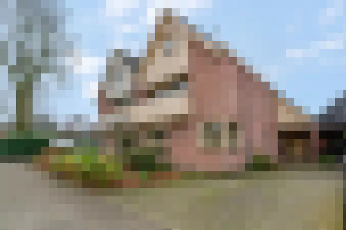 Anker 25 Veenendaal