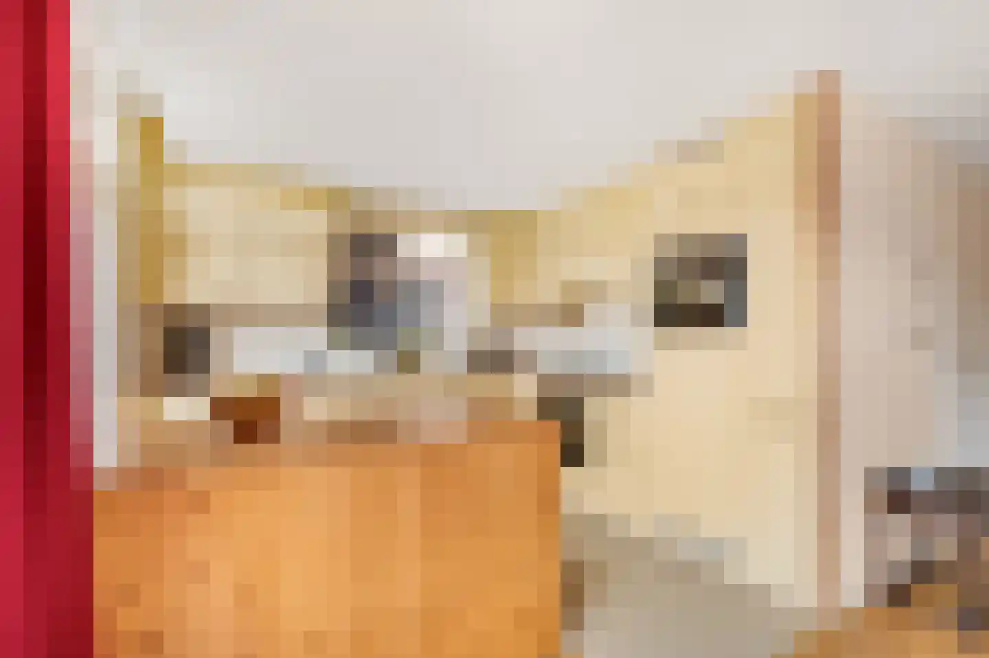 Anker 25 Veenendaal thumbnail 11
