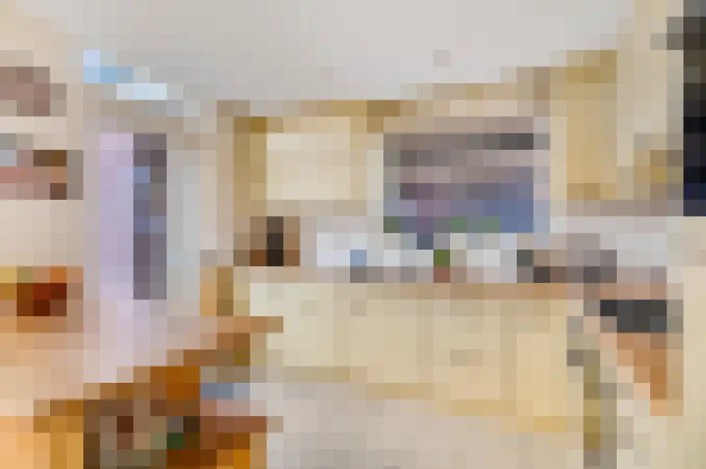 Anker 25 Veenendaal thumbnail 12