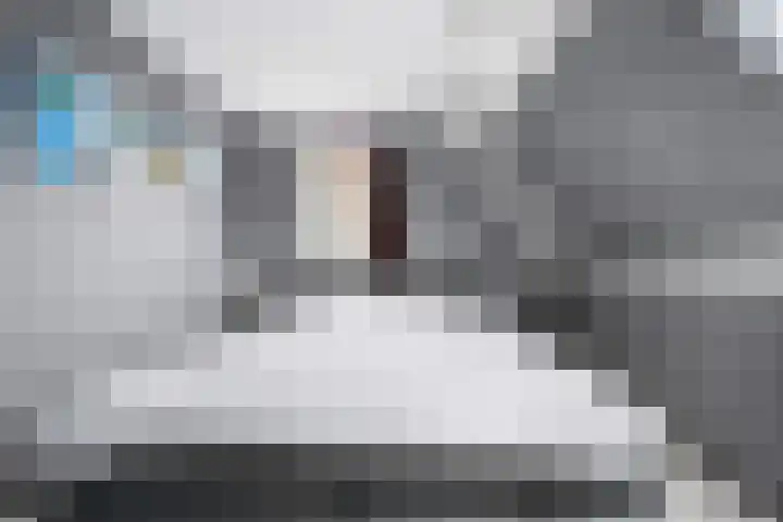 Anker 38 Klazienaveen thumbnail 21