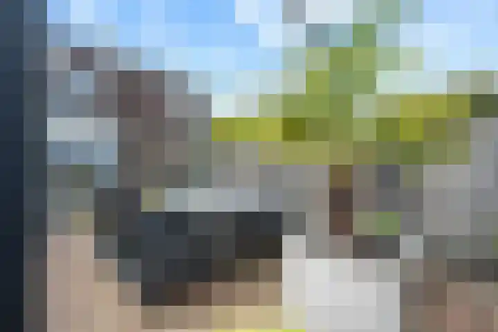 Anker 38 Klazienaveen thumbnail 34
