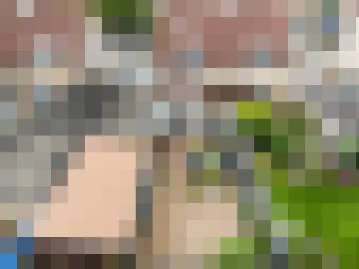Anker 38 Klazienaveen thumbnail 41