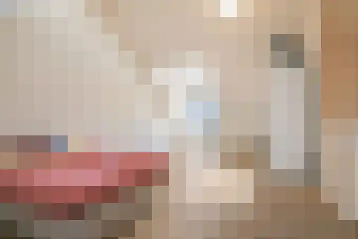 Anker 38 Oosterhout thumbnail 28