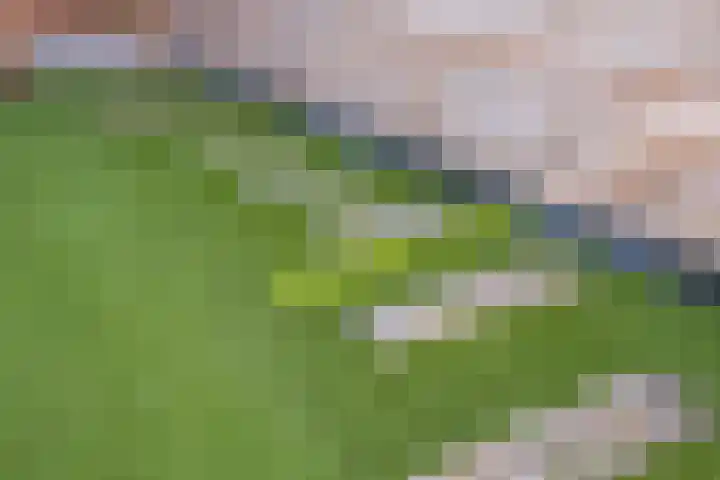 Anker 38 Oosterhout thumbnail 40