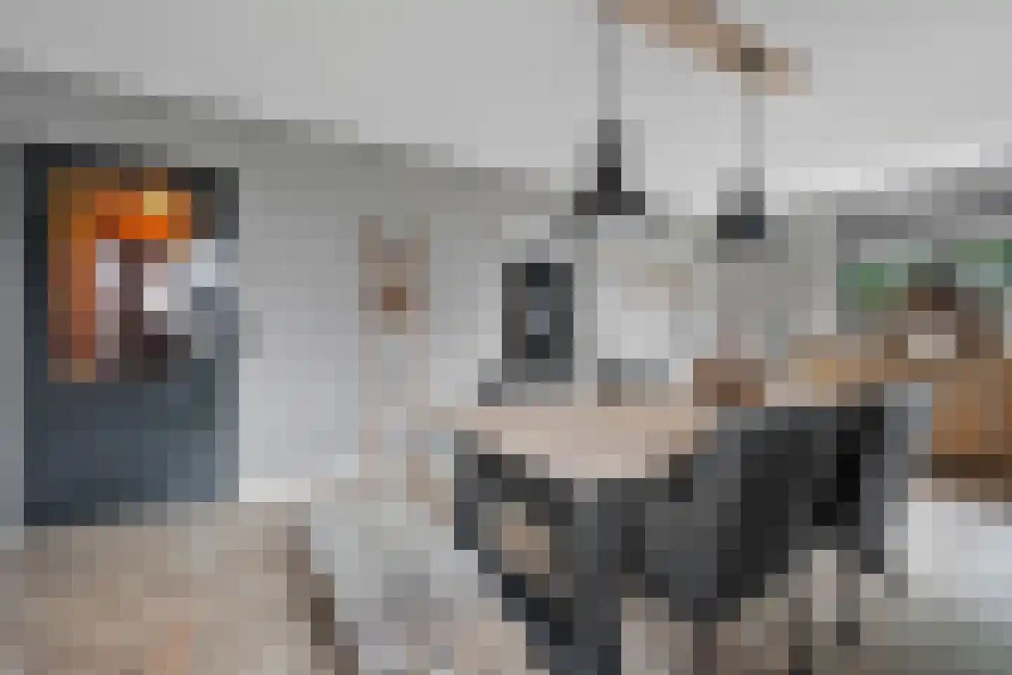Anker 39 Klazienaveen thumbnail 16