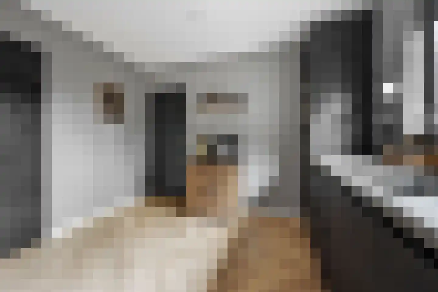 Anker 39 Klazienaveen thumbnail 20