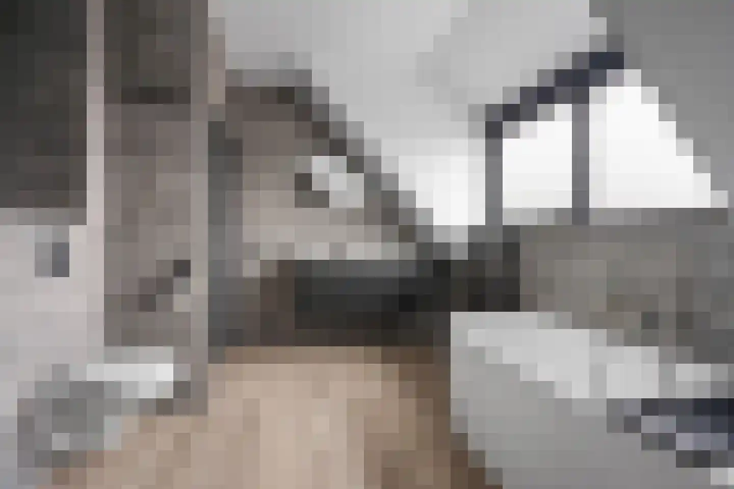 Anker 39 Klazienaveen thumbnail 31