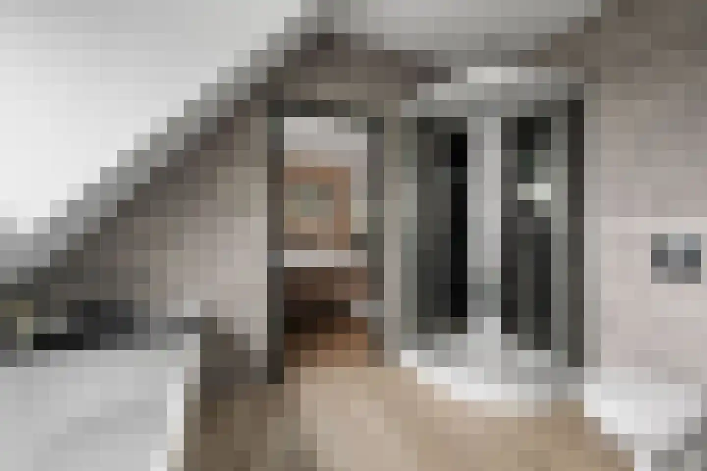 Anker 39 Klazienaveen thumbnail 33