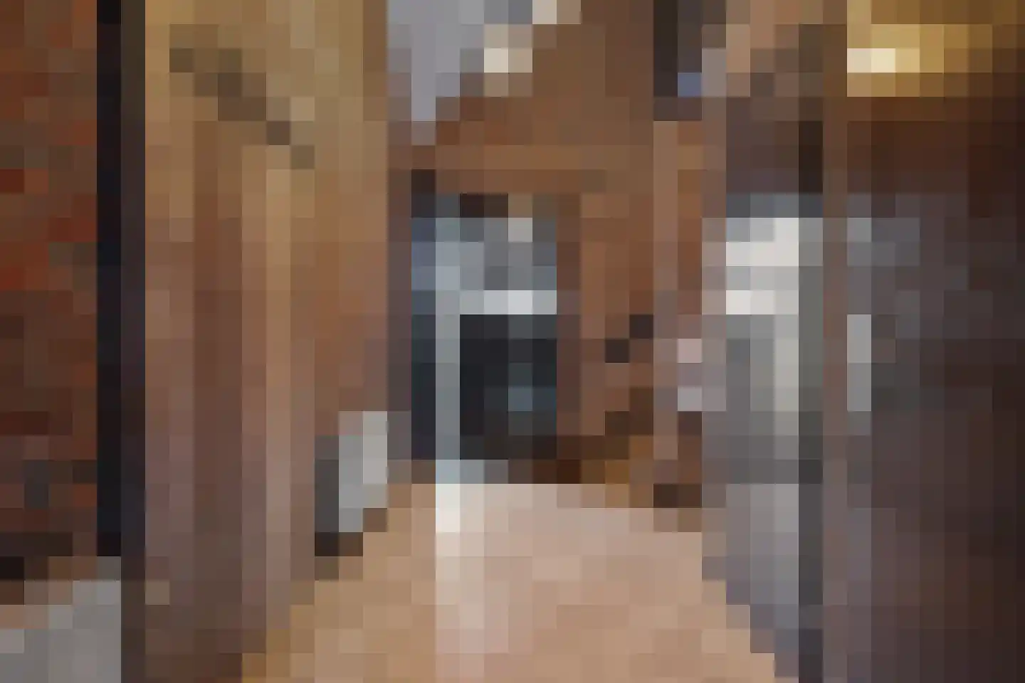 Anker 39 Klazienaveen thumbnail 4