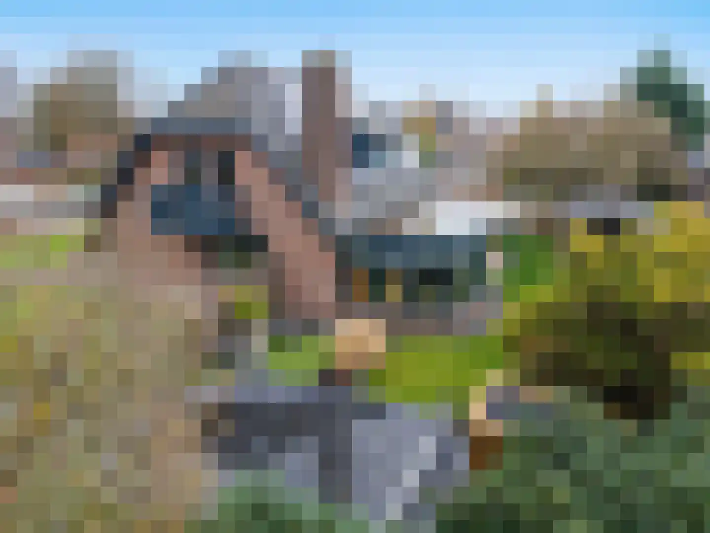 Anker 39 Klazienaveen thumbnail 50