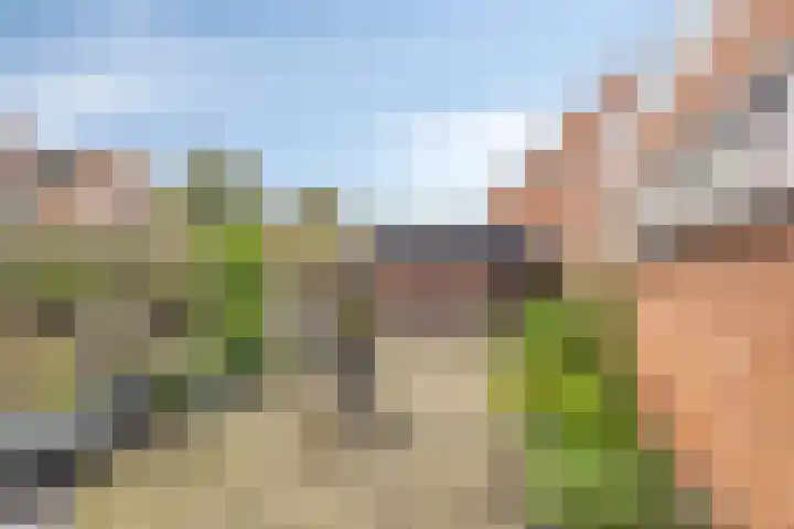 Anker 49 Klazienaveen thumbnail 20