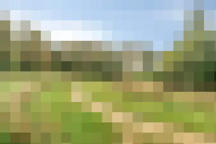 Anker 49 Klazienaveen thumbnail 22