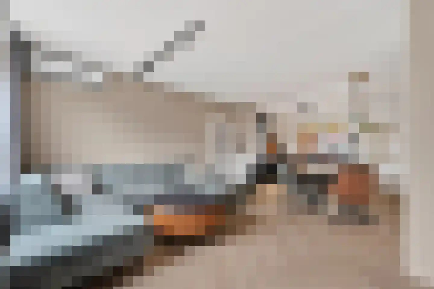 Anker 53 Klazienaveen thumbnail 11